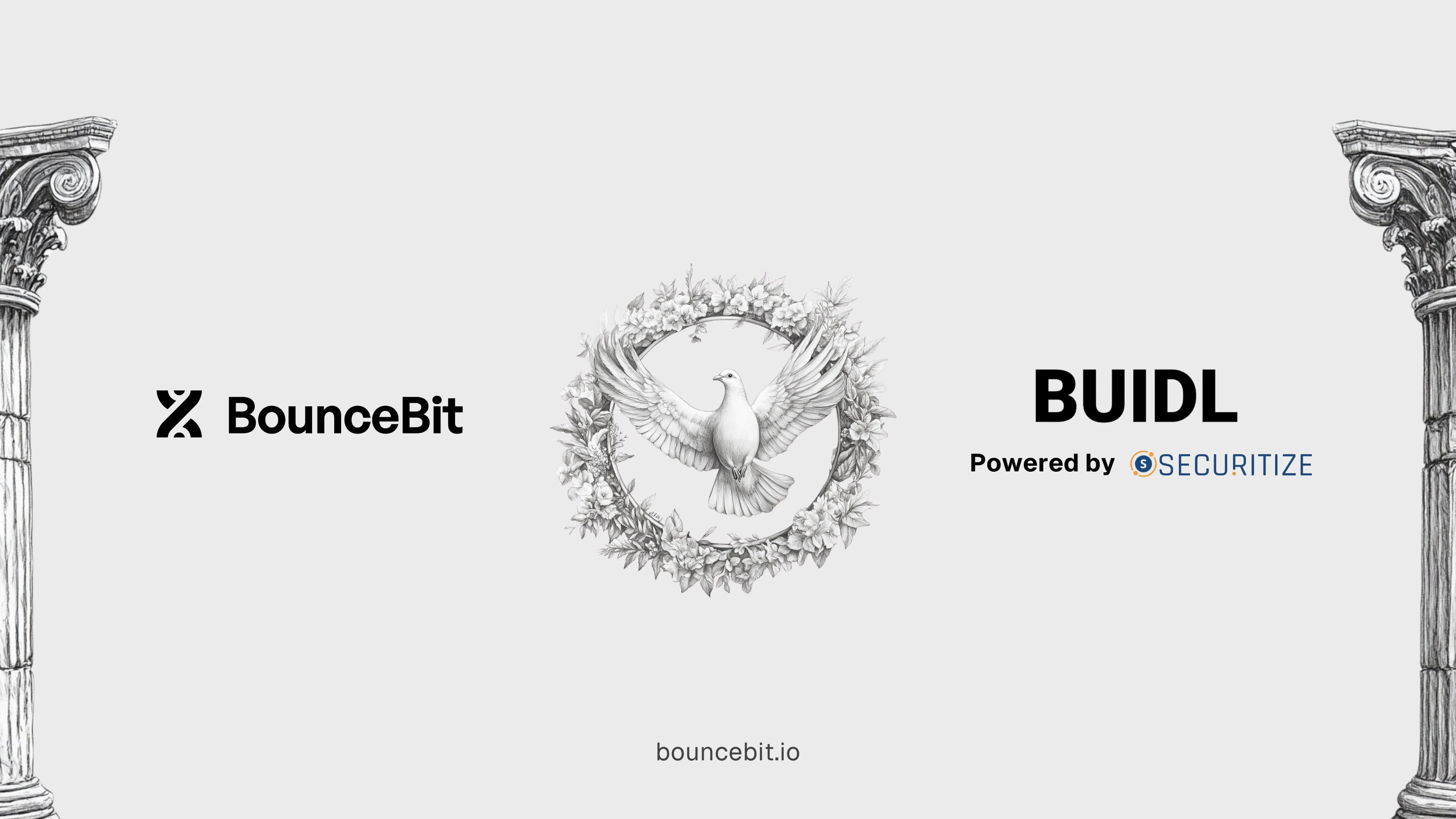 BounceBit and BlackRock BUIDL jointly launched RWA+CeDeFi structured income products to promote a new stage of RWA appli