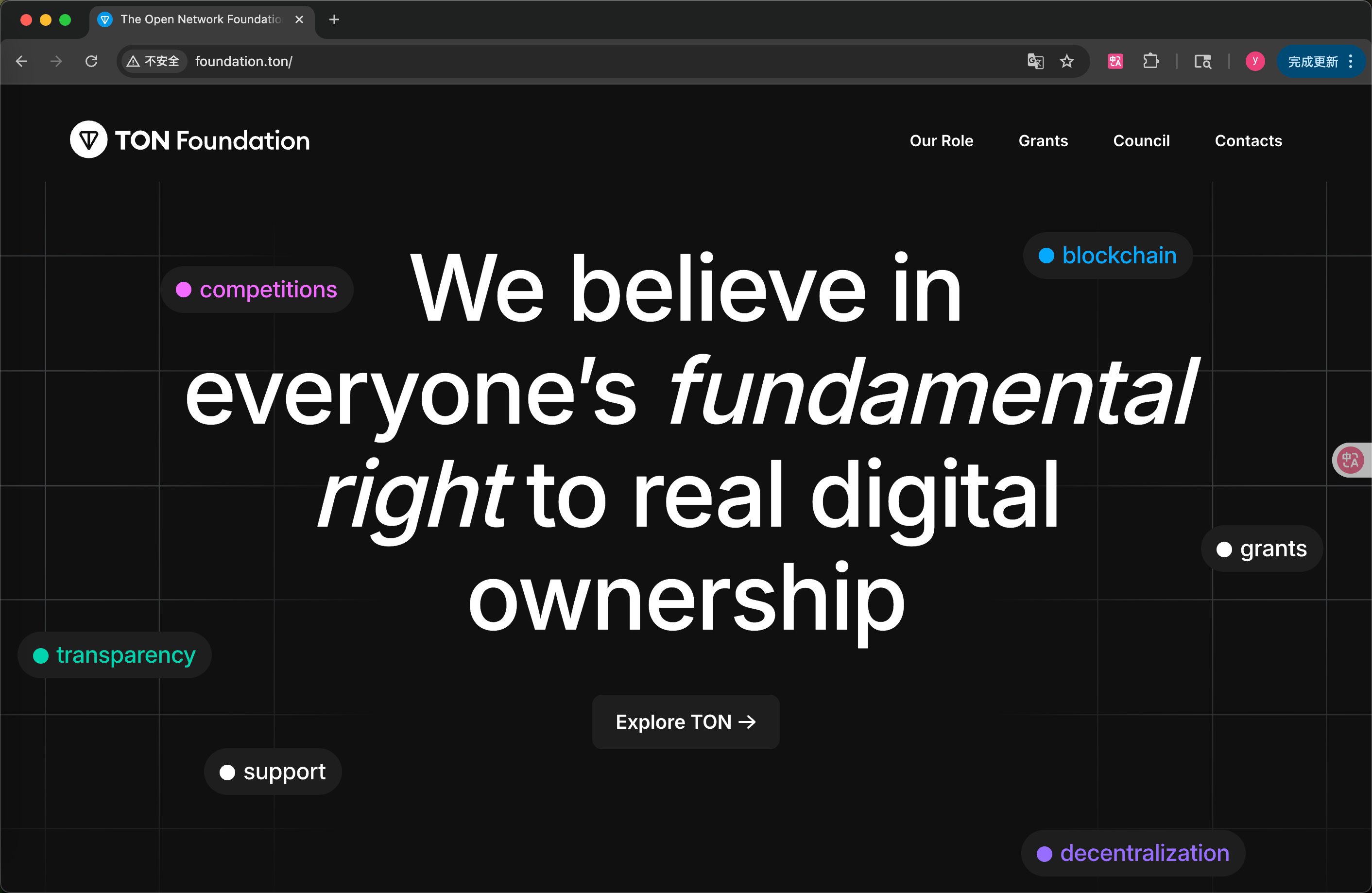 How to access the website on-chain