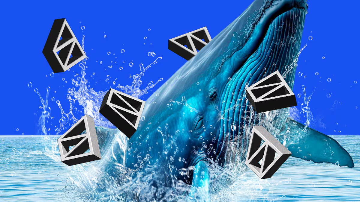 Is it still necessary to play Polymarket now? What is the best strategy for retail investors?Recommended Articles