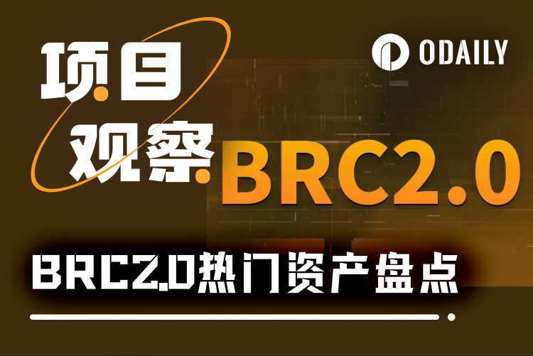 Mainnet countdown, BRC 2.0 upgrade ignites BTC ecosystem, leading NFT rises 100-fold in a month | BTC EcosystemRecommend