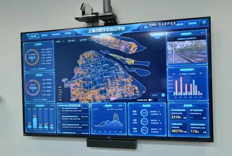 The emergence of the pseudo RWA of Malu grapes: a dilemma of agricultural asset digitization under the compromise of loc