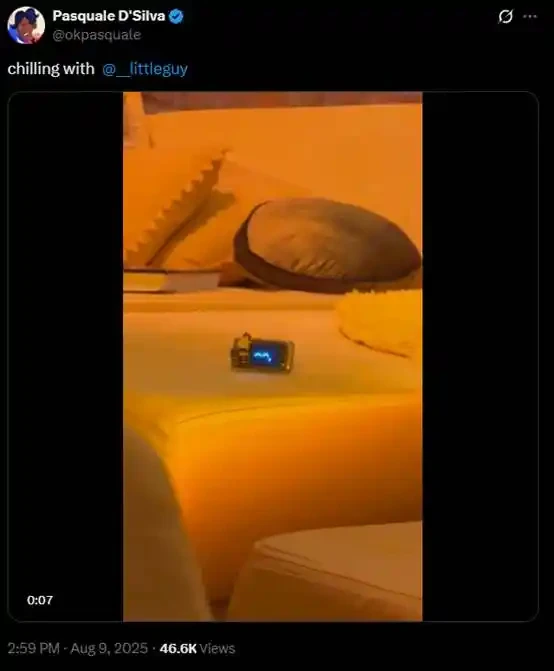 600x growth in 7 days! Will this dog be the harbinger of AI Season 2.0?Recommended Articles