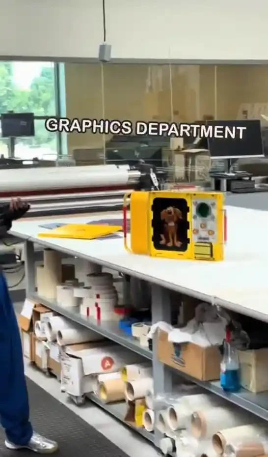 600x growth in 7 days! Will this dog be the harbinger of AI Season 2.0?Recommended Articles