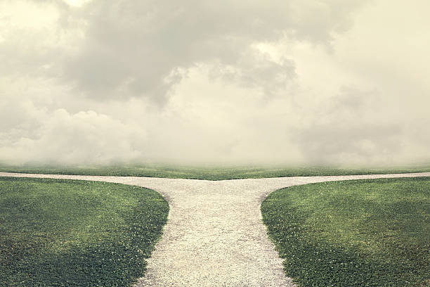 After the tide recedes, let's talk about the differences between Meme and Build