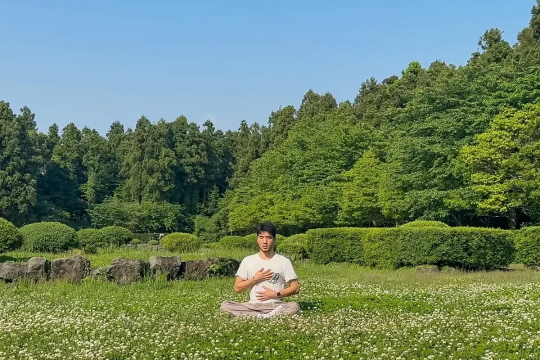 South Korea's retail investors: A 14 million ant colony's high-stakes gamble