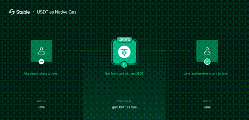 Stablecoin public chain: competition and opportunities for the next generation of encrypted payment network