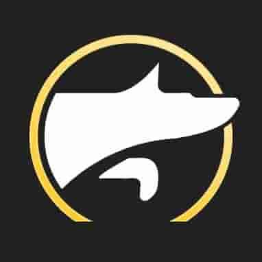 Tokensniffer website