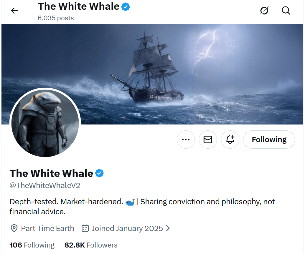 White Whale: How did a 