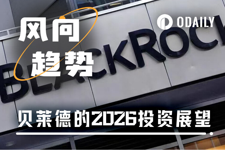 BlackRock's 2026 Investment Outlook: Can the AI Bubble-Driven Global Bull Market Sustain?