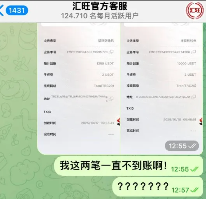 Huiwang Payment's Closure Crisis: Compliance Crisis in the Crypto Payment Industry and Global Regulatory Warnings