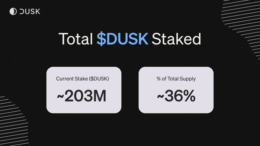2026 Privacy Asset Landscape: Which Projects Are Truly Gaining Market Patience?