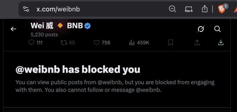 CZ Zhao Targeted by Gray Industry