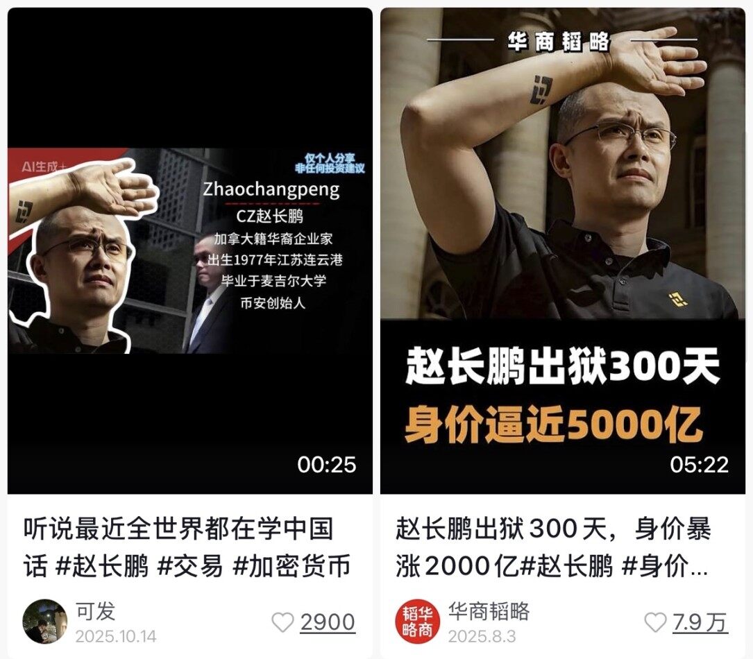 CZ Zhao Targeted by Gray Industry