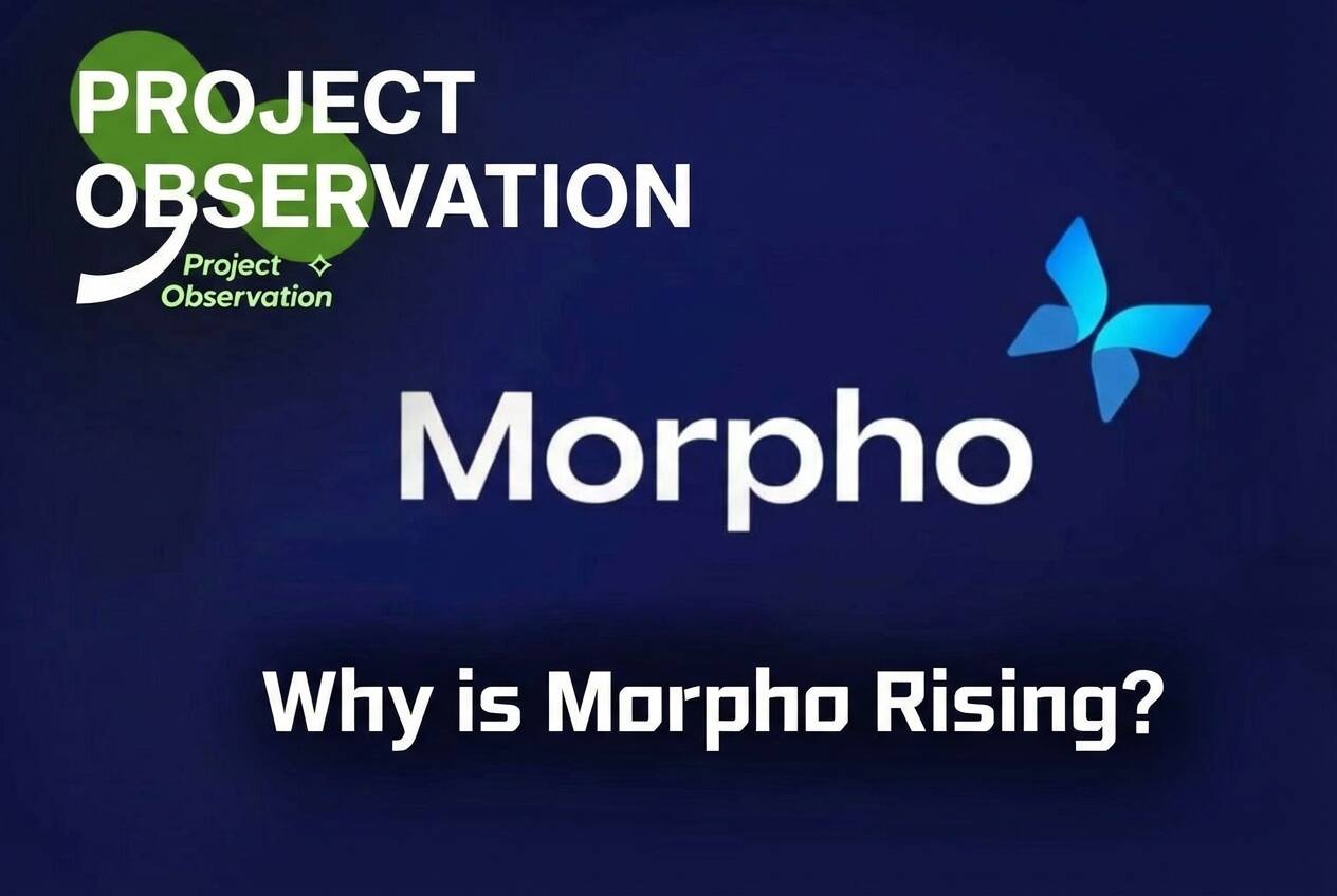 Aave Internal Conflict Escalates, Morpho Quietly Doubles: Is the Lending Throne About to Change Hands?