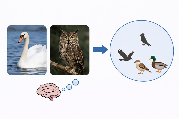 Zhejiang University Research Team Proposes New Approach: Teaching AI How the Human Brain Understands the World