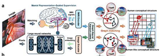 Zhejiang University Research Team Proposes New Approach: Teaching AI How the Human Brain Understands the World