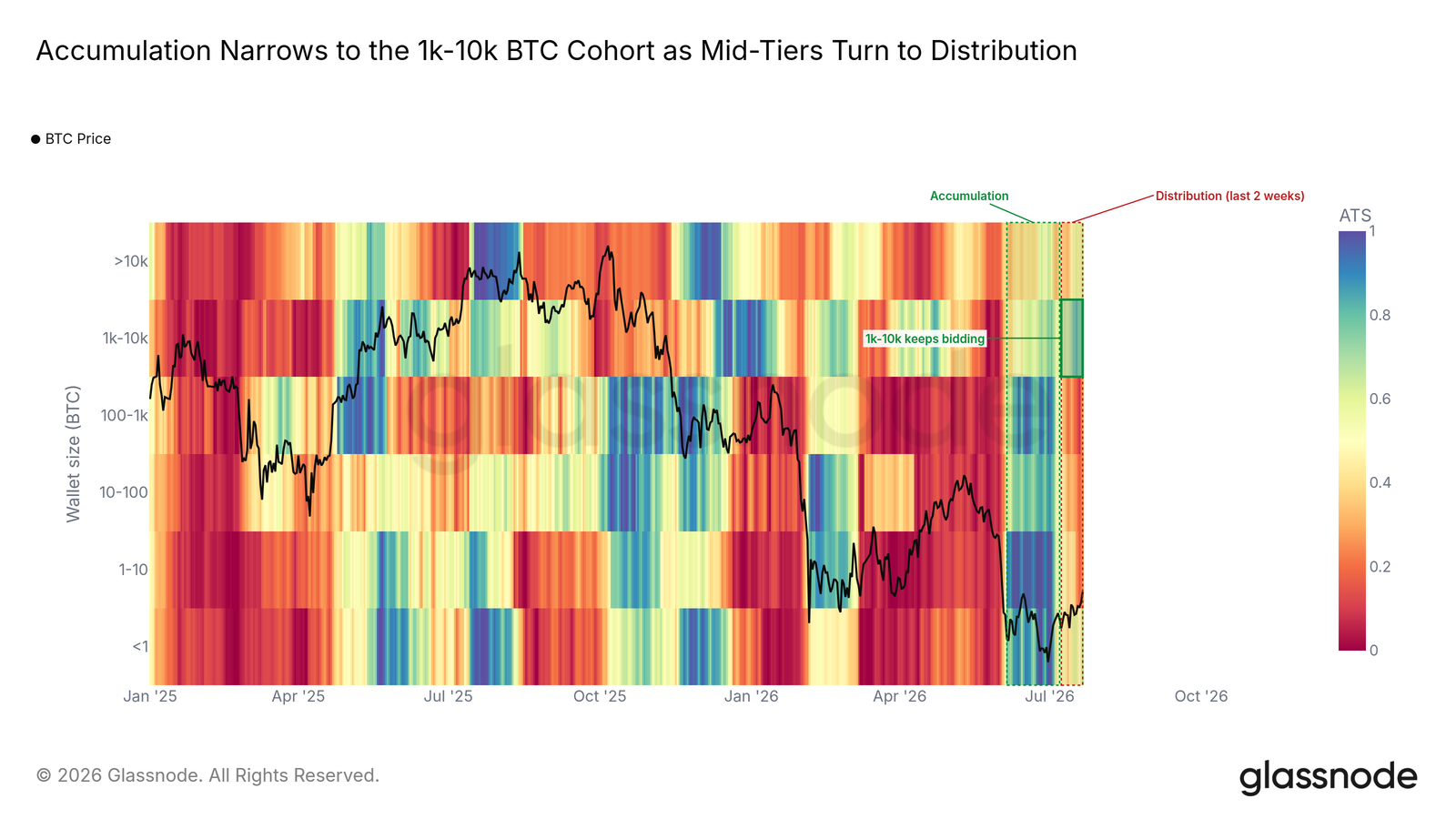 Bitcoin Bounce Hits a Wall: K Short-Term Holder Cost Basis Becomes Key Decision Point